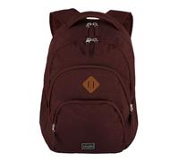 travelite Mochila para equipaje de mano, mochila para portátil de 15,6 pulgadas, BASICS, mochila de día con muchos compartimentos, 45 cm, 22 litros