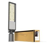 TRAXON LUXPOINT® Luminaria alumbrado vial - Reinhold 100W 15000Lm Luz neutra 4000K exterior IP65 angulo apertura 80° aluminio cristal templado 5 años garantía (Luz neutra 4000K, 100 Watios)