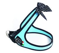 Tre Ponti Arnes para Mascotas, S 40 g