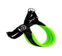 TRE PONTI Easy Fit - Arnés para Perro de Malla de neón, Talla 2, Color Verde