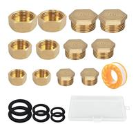 TREABEAR 12 Piezas Tapón Ciego de Latón, Latón Rosca Exterior 1/2 3/8 Pulgadas, Tapón de Latón 3/4 Macho, Tapon Radiador Calefaccion, Tapón Ciego, Tapones de Orificios para Estufa de Gas