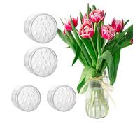 TREABEAR 4Pcs Supporto per Stelo Ikebana a Spirale, Soporte Reutilizable para Arreglos Florales, Soporte para Tallos en Espiral Transparente para Flores, Herramientas para Arreglos Florales