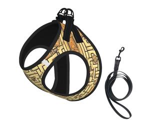 Treasure Maze - Juego de arnés y correa suave para mascotas, arnés de malla ajustable para cachorros y gatos pequeños, medianos y grandes