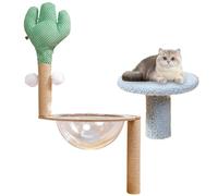Tree Climbing Training, Natural Climbing Tree, Climbing Tree for Outdoor Play, Tree Climbing for Ejercice, Climbing Tree for Physical Activity, Climbing Trees for Parks, Tree Climbing Safety Tips