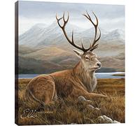 Tree-Free Greetings 85704 11,25 x 11.25-Inch Classic Elk Wildlife Art diseño de ecoart Placa de Pared decoración del hogar
