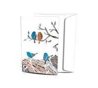 Tree-Free Greetings ECOnotes Tarjetas de notas en blanco, sobres a juego, juego de tarjetas en blanco, 4 pulgadas x 6 pulgadas, NW Birds 2, paquete de 12 (FS56004)