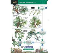 Tree Name Trail: A Key to Common Trees: No. 510 (Field Studies Council Occasional Publications S.)