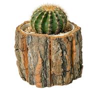 Tree Stump Flower Pot - Bark Paper Planter | Natural Rustic Decor
