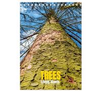 Trees, Living Giants (Desk Calendar 2026 DIN A5 portrait), CALVENDO 12 Month DeskCalendar: Rooted in Time. Reaching for the Sky