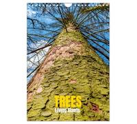 Trees, Living Giants (Wall Calendar 2026 DIN A4 portrait), CALVENDO 12 Month Wall Calendar: Rooted in Time. Reaching for the Sky