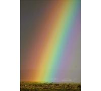 Trees of Life: A Poetry Anthology