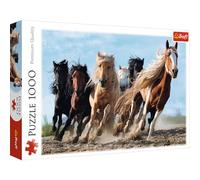 Trefl Puzzle - Caballos galopando - de 1000 Piezas, Rompecabezas DIY, Pasatiempo Creativo, Regalo, Diversión