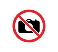 Trefl - Creative - Paradies Birds - Puzzle de 500 piezas - Puzle de bricolaje para colorear, ocio creativo, para adultos y niños a partir de 10 años