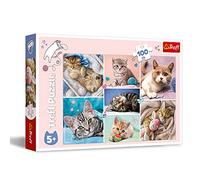 Trefl-En el Mundo de los Gatos de 100 Piezas, para niños a Partir de 5 años Puzzle, Color, In Der Katzenwelt