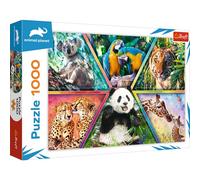Trefl-Reino 1000 Piezas, Animales del Mundo, Marcos Coloridos, Rompecabezas, Pasatiempo Creativo, Regalo, Diversión, clásicos para Adultos y niños a Partir de 12 años Puzzle, Color, tierreich