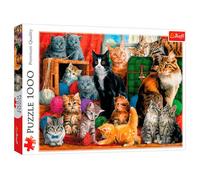 Trefl-reuniones 1000 Piezas, hogar, Encuentro, Gatos, Rompecabezas DIY, Pasatiempo Creativo, Regalo, Diversión, clásicos para Adultos y niños a Partir de 12 años Puzzle, Color felino, katzentreffen