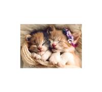 Trefl Rompecabezas de 500 piezas Gatitos durmientes Animales