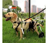 TREGOO Silla Ruedas Perro Silla de Ruedas de 4 Ruedas para Perros Grandes, Medianos y Pequeños. Ayuda para La Movilidad de Mascotas con Soporte Completo para Cadera con Accesorios (Size : Size M)