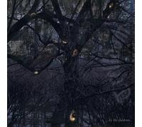 Trelldom – ...By the Shadows... – Vinilo – Importación USA