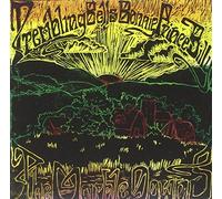 TREMBLING BELLS FEATURING BONNIE 'PRINCE' BILLY - THE MARBLE DOWNS