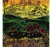Trembling Bells - Marble Downs [Vinilo]