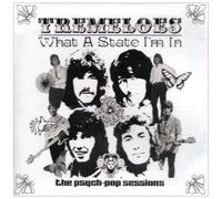 Tremeloes - What a State I M in [Psych-Pop