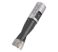 Trend Domino Bit, 10 mm de diámetro, herramienta de ranurado para sistema de mortaja Festool Domino DF500, punta de carburo de tungsteno, DOM/10