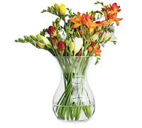 TREND FOR HOME Jarrón de Vidrio Cristal Jarrón de Flores de Cristal Florero de Vidrio Transparente Decoracion Salon Contenedor Decorativo | Altura 18 cm | Poppy | 1229 ml