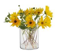 TREND FOR HOME Jarrón Decorativo A: 15 cm Cilindro Decoracion Fiesta Jarron Vidrio Floreros Decorativos Modernos Candelabros para Velas Cilindros para Decoracion de Fiestas, ⌀ 15 cm, Calen