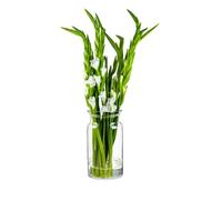 TREND FOR HOME Jarrones Decorativos de Suelo A: 29.5 cm Cilindro Transparente para Decoracion de Fiestas Mesas Jarrones Decorativos Modernos Florero de Vidrio Jarrón Grande | Ø 16 cm | Sunflower