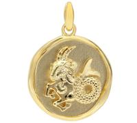 trendor Colgante con el signo zodiacal Capricornio, plata de ley 925