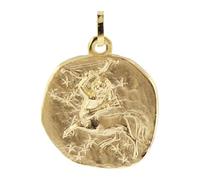 trendor Colgante de Sagitario, signo del zodiaco, plata de ley 925