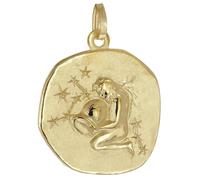 trendor Colgante del signo zodiacal Acuario plata de ley 925 chapado en oro