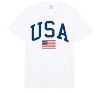 Trendy Apparel 4th of July USA Large Text & American Flag Comfort Colors Adult Heavyweight T-Shirt