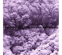 Trentemøller - Into the Great Wide Yonder [Vinilo]