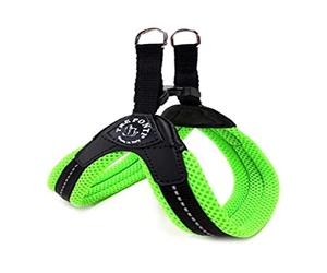 Treponti Easy Fit Mesh Fix Neon - Arnés para Perro, Talla 1, Color Verde