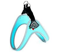 Treponti Fibbia Arnés de Malla para Perro pequeño, 4 cm, Color Azul Claro