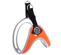 Treponti t1004ar Easy Fit Fix Neon, tamaño 3, Naranja