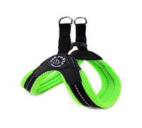 Treponti tre Ponti Easy Fit Mesh Fix Neon - Arnés para Perro, Talla 1, Color Verde