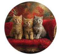 Tres adorables Gatitos sentados sobre... Sofá Rompecabezas Puzzle,1000pcs (67.5x67.5cm) Adulto Juego EduGatoivo Decoración del Hogar