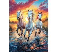 Tres Caballos al Atardecer sobre el océano Rompecabezas 1000 Piezas Cartón Grueso para Parejas Desarrollo Habilidades Pieza Decorativa Casa Pack Completo Regalo Cumpleaños 1000 PCS