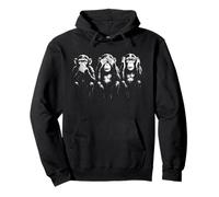 Tres Monos sabios | Arte de la Plantilla - Speak See Hear No Evil Sudadera con Capucha