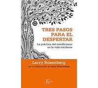 Tres pasos para el despertar: La práctica del mindfulness en la vida cotidiana (Sabiduría perenne)
