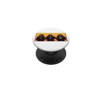 Tres sabios Monos Hipster oyen, Hablan y no Ven el Mal PopSockets PopGrip Adhesivo