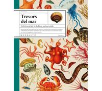 TRESORS DEL MAR | Margarita Cueto Y Nuria SÁnchez (autoras)