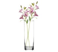 TRESV Jarrón de Flores de Cristal, Florero abombado de Vidrio, 26.5cm de Alto, Elegante y Sofisticado,Apto para lavavajillas (26.5 cm de Alto)