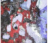 Trey Gunn - I'll Tell What I Saw by Trey Gunn