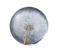 TRgqify-KM Pisapapeles Diente de León Bola de Sueños. Cristal de los Deseos. Único (9 cm) de diámetro.