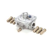 Tri-Star Manufacturing 21892701 Kit de conversión, NAT a Lp, 36C