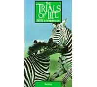 Trials of Life: Fighting [USA] [VHS]